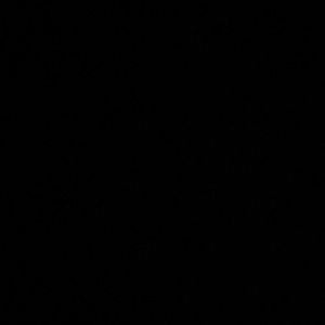 Meet your Posher, Isa